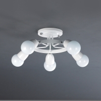 ���� ��5�� (���)