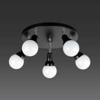 ��ũ�� 5�� ���� ������ (���, ���) 3��~9��