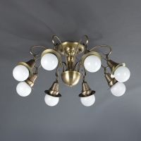 ���ΰ� 8�� ������ (���ֺ����) 6~8��