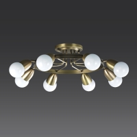 ���� ��8�� (���ֺ����)