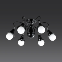 ���ΰ� 6�� ������ (���) 6~8��