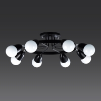 ���� ��8�� (���)