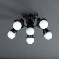 ���ΰ� 6�� A�� (���, ���) (ȸ����������)