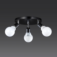 ������ 3�� ������ (���) 3��~9��