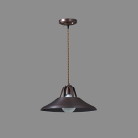 ����������(����)