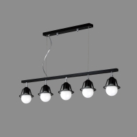 ����Y��5��(���)