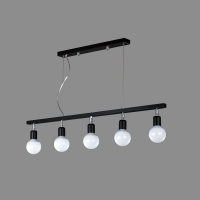 ��Y��5��(���)