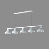 �ָ��ݰ�Y��5��(���)