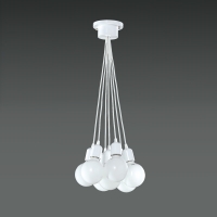 �� P/D �ٹ� 7�� (���)