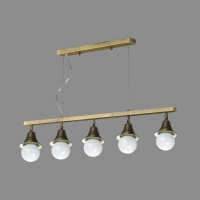 ���ΰ�Y��5��(�ź�)