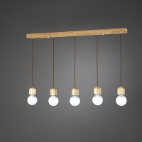 �������5���       (1��~5��)