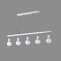 ��Y��5��(���)