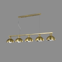 �ָ��ݰ�Y��5��(�ź�)