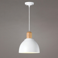 ���������(���)