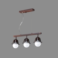 ����Y��3��(����)