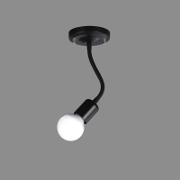 �ڹٶ�����(���)