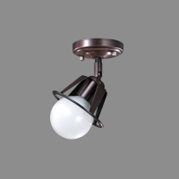 ����1��(����)