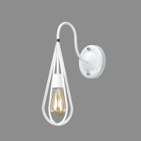 ���̽�����(���)