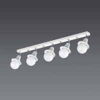 ���ΰ� 5�� ���� ���� (������)