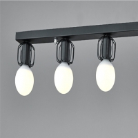 ��������5��(��)