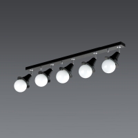 ���ΰ� 5�� ���� ���� (������)