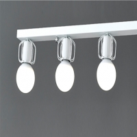 ��������5��(���)