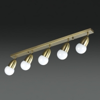 ���� 5�� ���� ���� (���ֺ����) 1��~5��