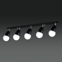 ���� 5�� ���� ���� (���) 1��~5��