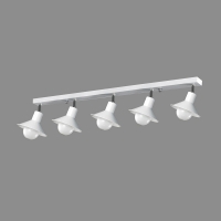 ���빮����5��(���)