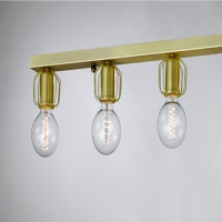 ��������5��(����)